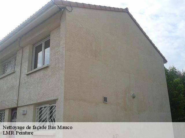 Nettoyage de façade  bas-mauco-40500 LMR Peinture