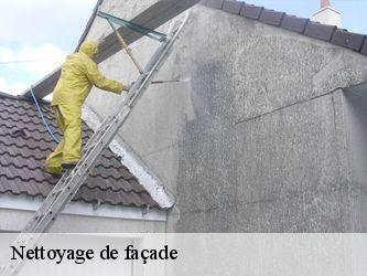 Nettoyage de façade  40090