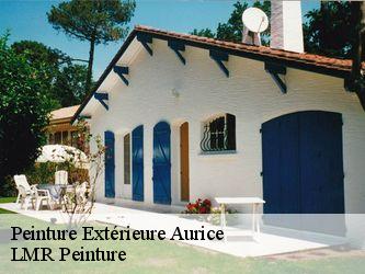 Peinture Extérieure  40500