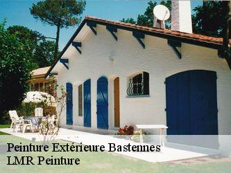 Peinture Extérieure  40360