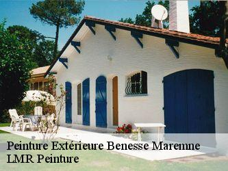 Peinture Extérieure  40230