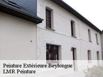 Peinture Extérieure  40370