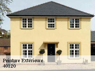 Peinture Extérieure  40120