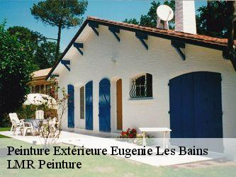 Peinture Extérieure  40320