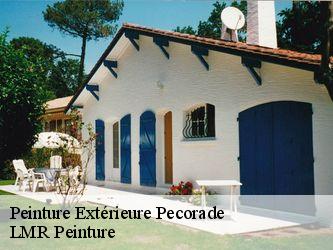 Peinture Extérieure  40320