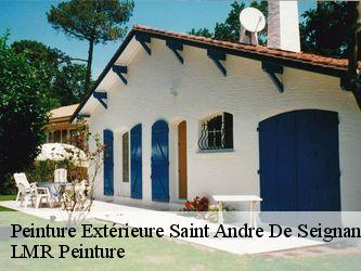 Peinture Extérieure  40390