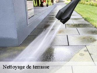 Nettoyage de terrasse  40410