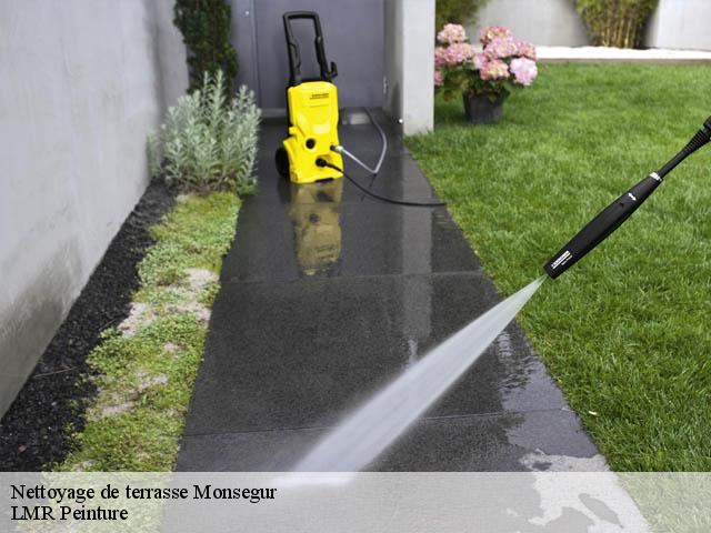 Nettoyage de terrasse  monsegur-40700 LMR Peinture