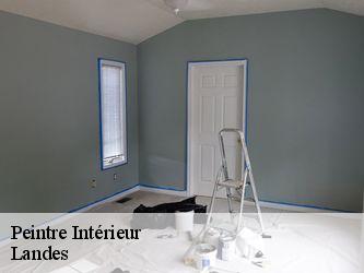 Peintre Intérieur Landes 