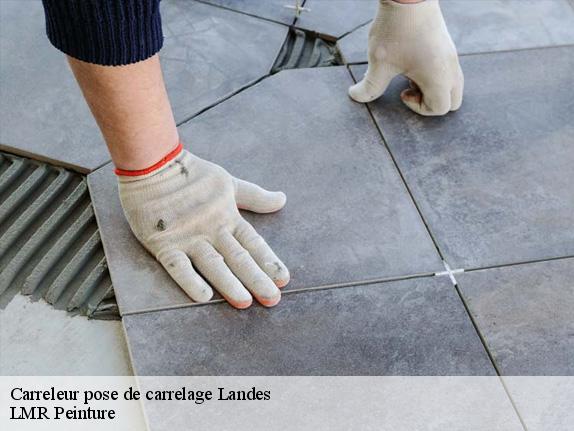 Carreleur pose de carrelage 40 Landes  LMR Peinture