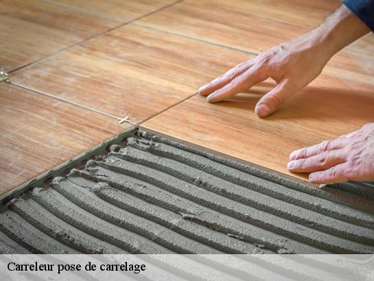 Carreleur pose de carrelage Landes 