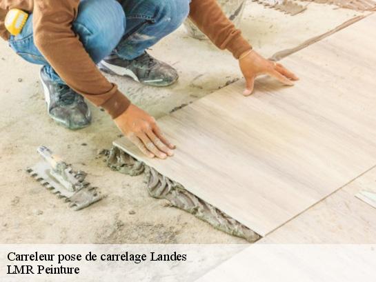 Carreleur pose de carrelage Landes 