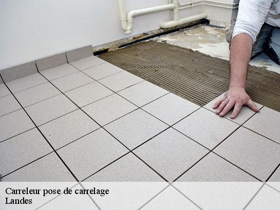 Carreleur pose de carrelage Landes 