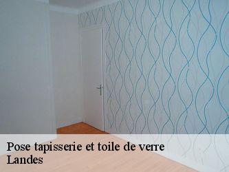 Pose tapisserie et toile de verre Landes 