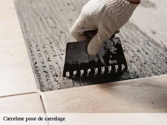 Carreleur pose de carrelage  40800