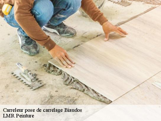 Carreleur pose de carrelage  40390