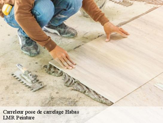 Carreleur pose de carrelage  40290