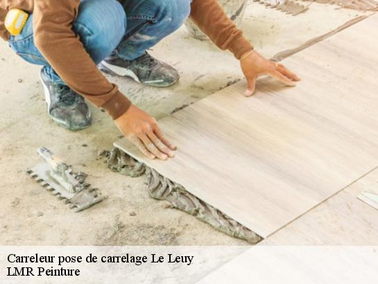 Carreleur pose de carrelage  40250