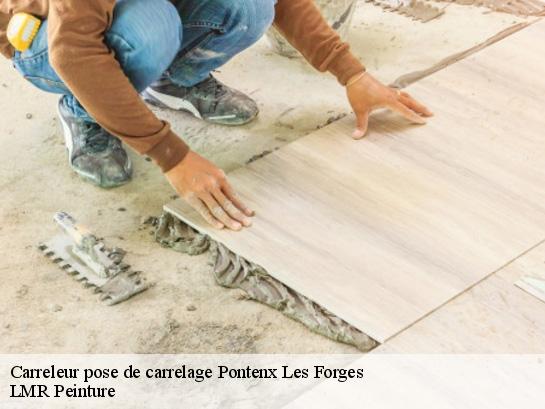 Carreleur pose de carrelage  40200