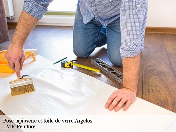 Pose tapisserie et toile de verre  argelos-40700 LMR Peinture