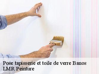 Pose tapisserie et toile de verre  40500