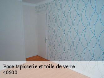 Pose tapisserie et toile de verre  40600