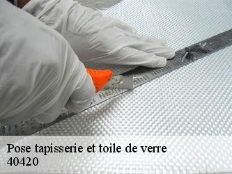 Pose tapisserie et toile de verre  40420