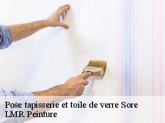 Pose tapisserie et toile de verre  40430