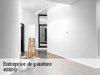 Entreprise de peinture  40800