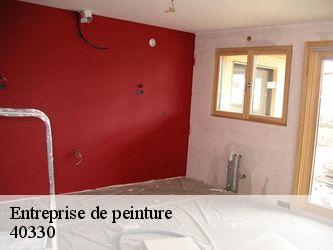 Entreprise de peinture  40330