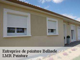 Entreprise de peinture  40410