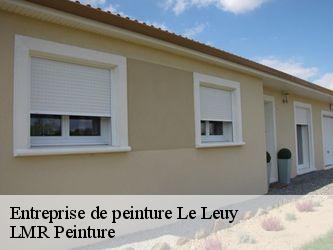 Entreprise de peinture  40250