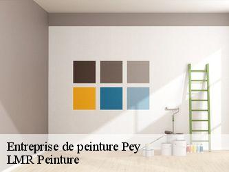 Entreprise de peinture  40300