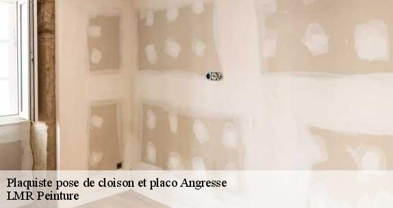 Plaquiste pose de cloison et placo  angresse-40150 LMR Peinture