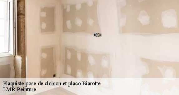 Plaquiste pose de cloison et placo  biarotte-40390 LMR Peinture