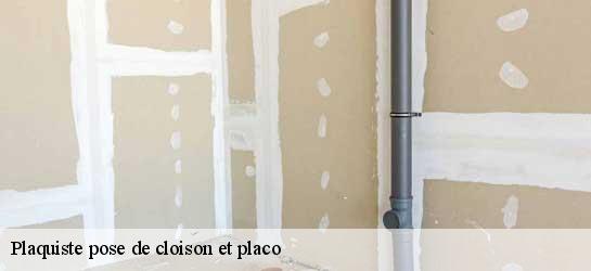 Plaquiste pose de cloison et placo  40390