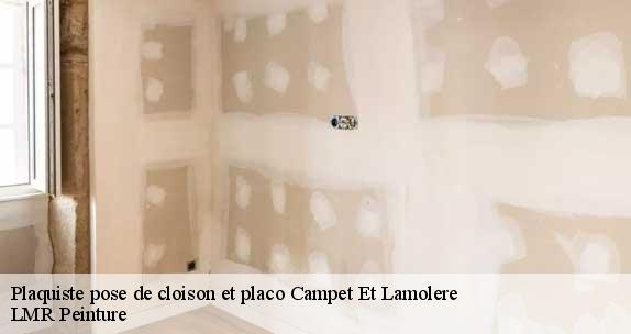 Plaquiste pose de cloison et placo  campet-et-lamolere-40090 LMR Peinture