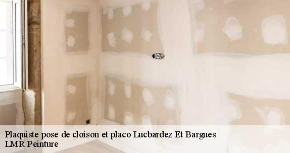 Plaquiste pose de cloison et placo  lucbardez-et-bargues-40090 LMR Peinture