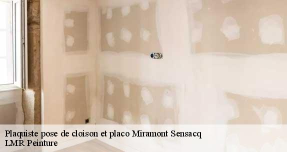 Plaquiste pose de cloison et placo  miramont-sensacq-40320 LMR Peinture