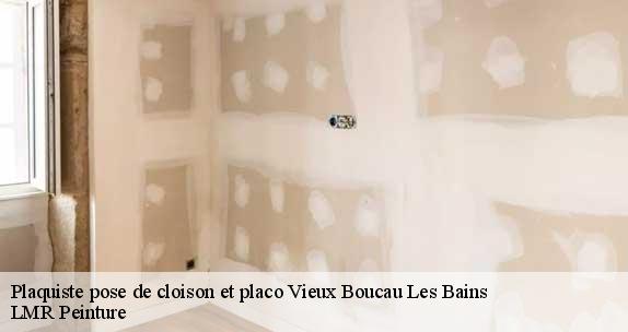 Plaquiste pose de cloison et placo  vieux-boucau-les-bains-40480 LMR Peinture